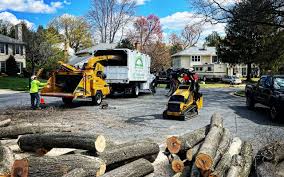 Professional Tree Services in Conrad, MT